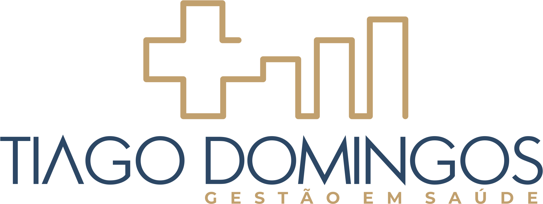 Tiago Domingos Gestão em Saúde